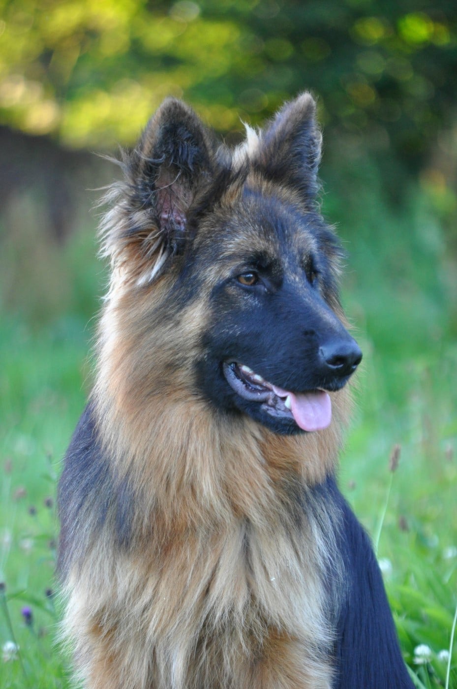 Légitime Démence Vibes-of-darkness