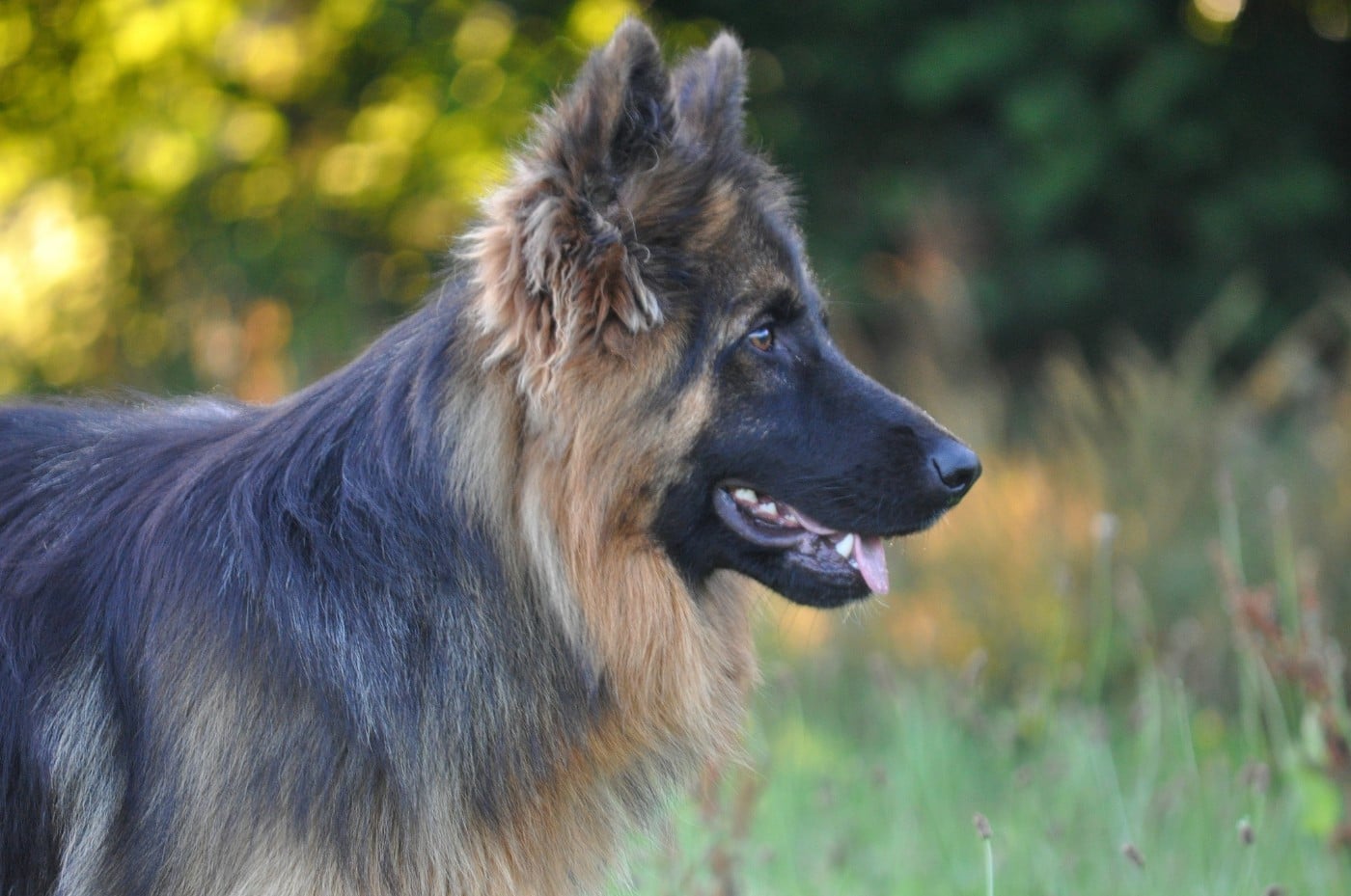 Légitime Démence Vibes-of-darkness