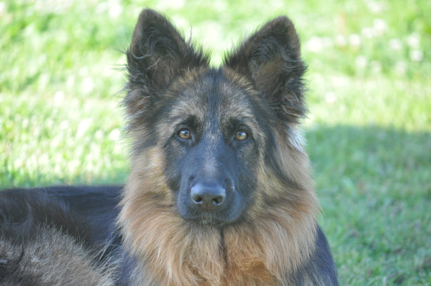 Légitime Démence Vibes-of-darkness