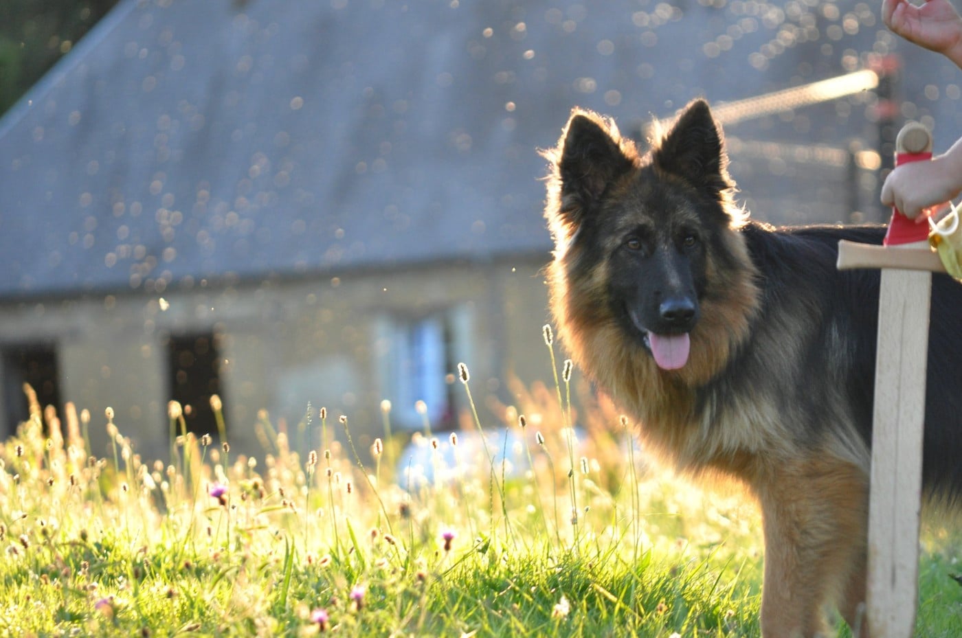 Légitime Démence Vibes-of-darkness