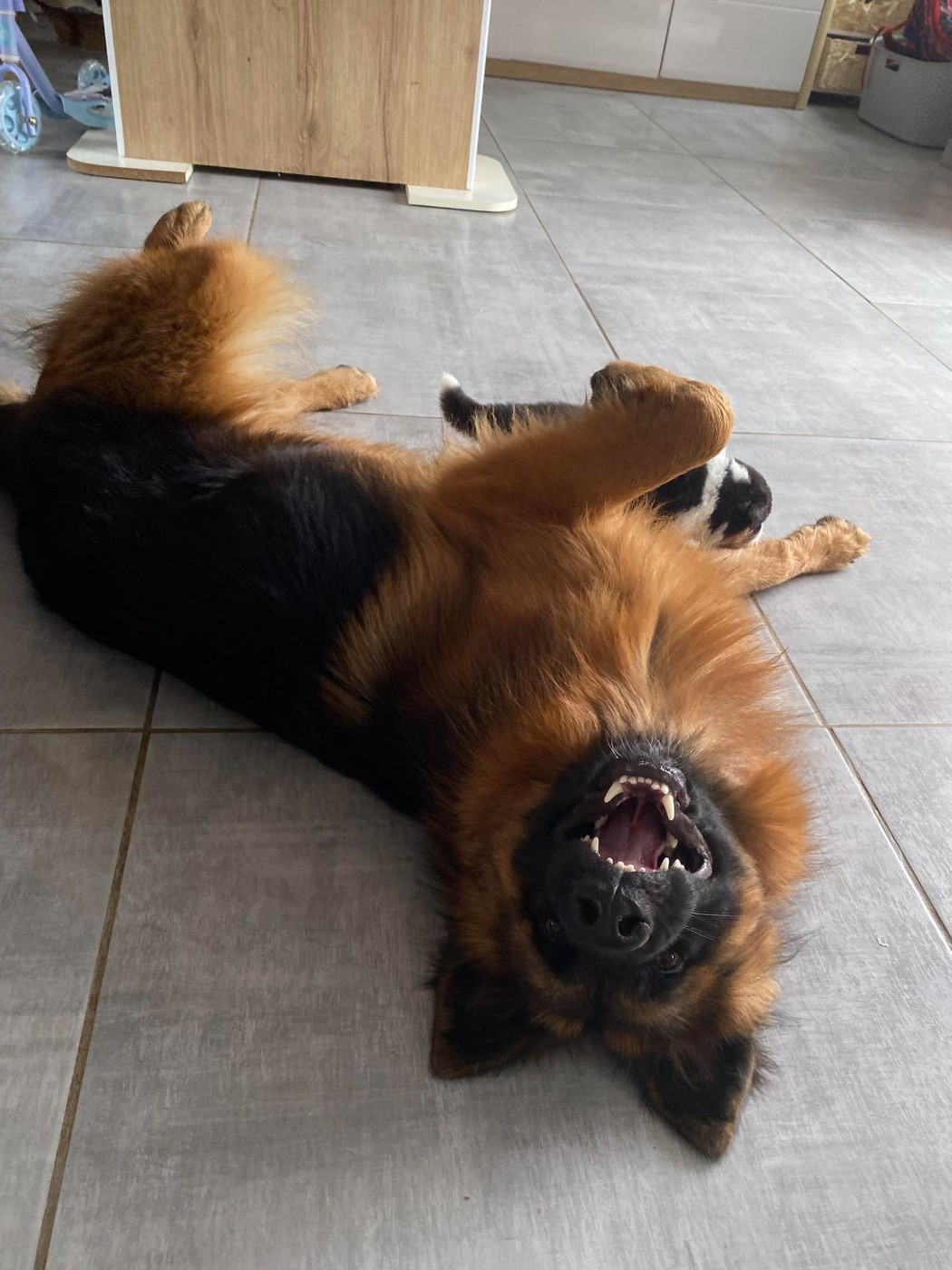 Légitime Démence Vibes-of-darkness