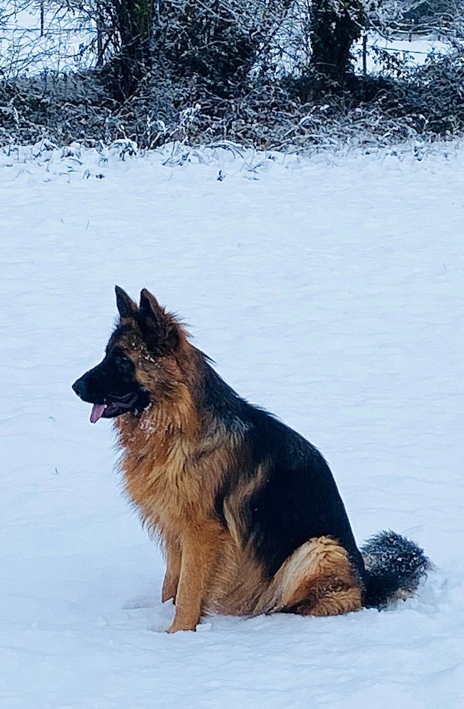 Légitime Démence Vibes-of-darkness