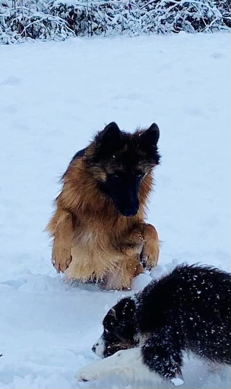 Légitime Démence Vibes-of-darkness