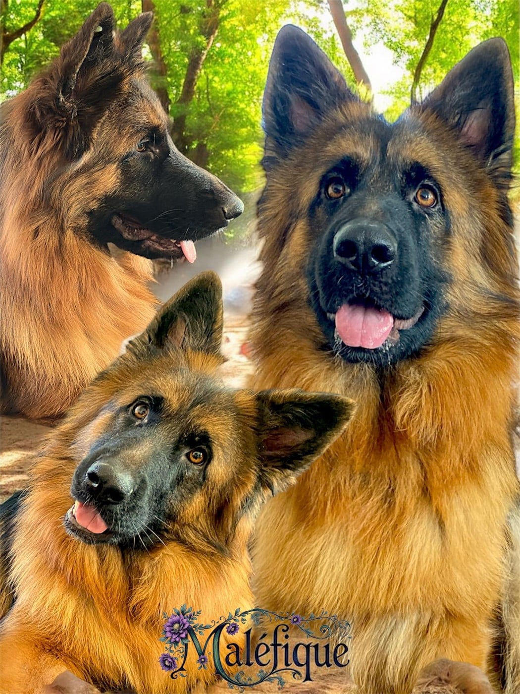 Légitime Démence Vibes-of-darkness