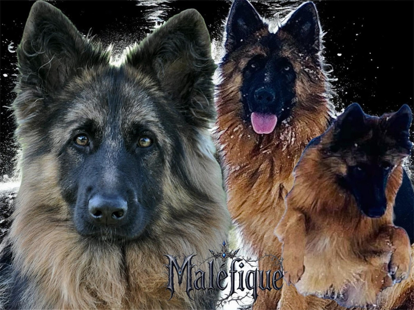 Légitime Démence Vibes-of-darkness