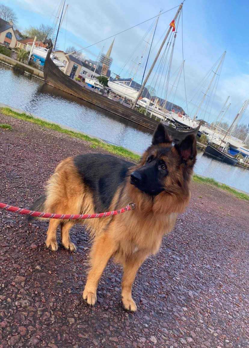 Légitime Démence Vibes-of-darkness