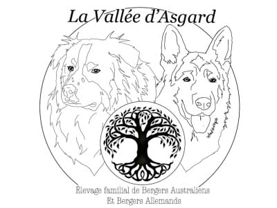 De La Vallée D'Asgard