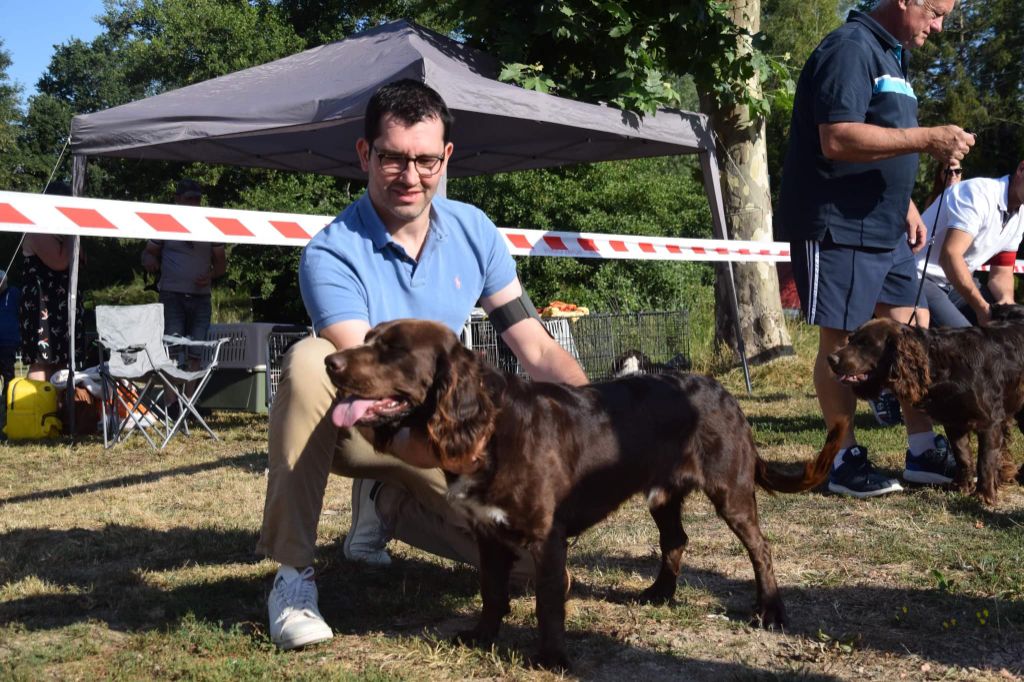 Newton od walczaka - Très bon