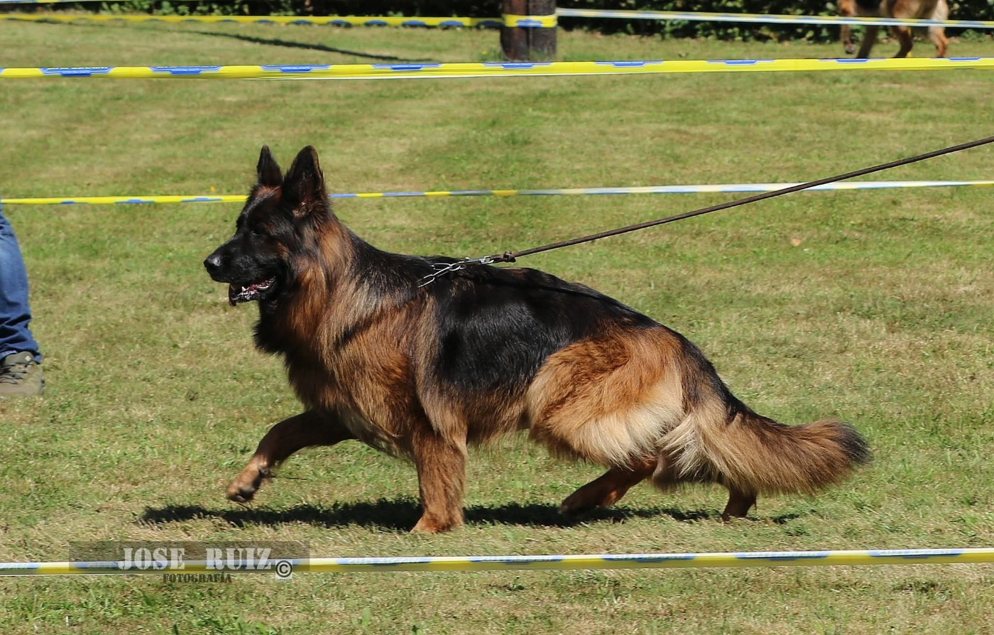 Publication : De L'Aisance Des Bois