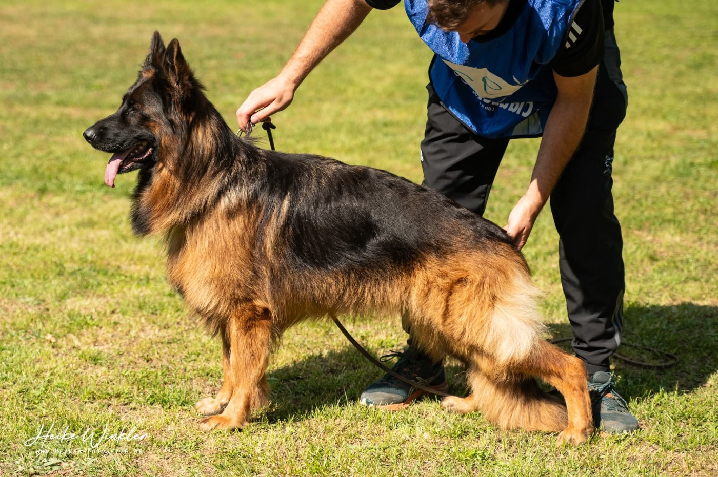 Publication : De L'Aisance Des Bois