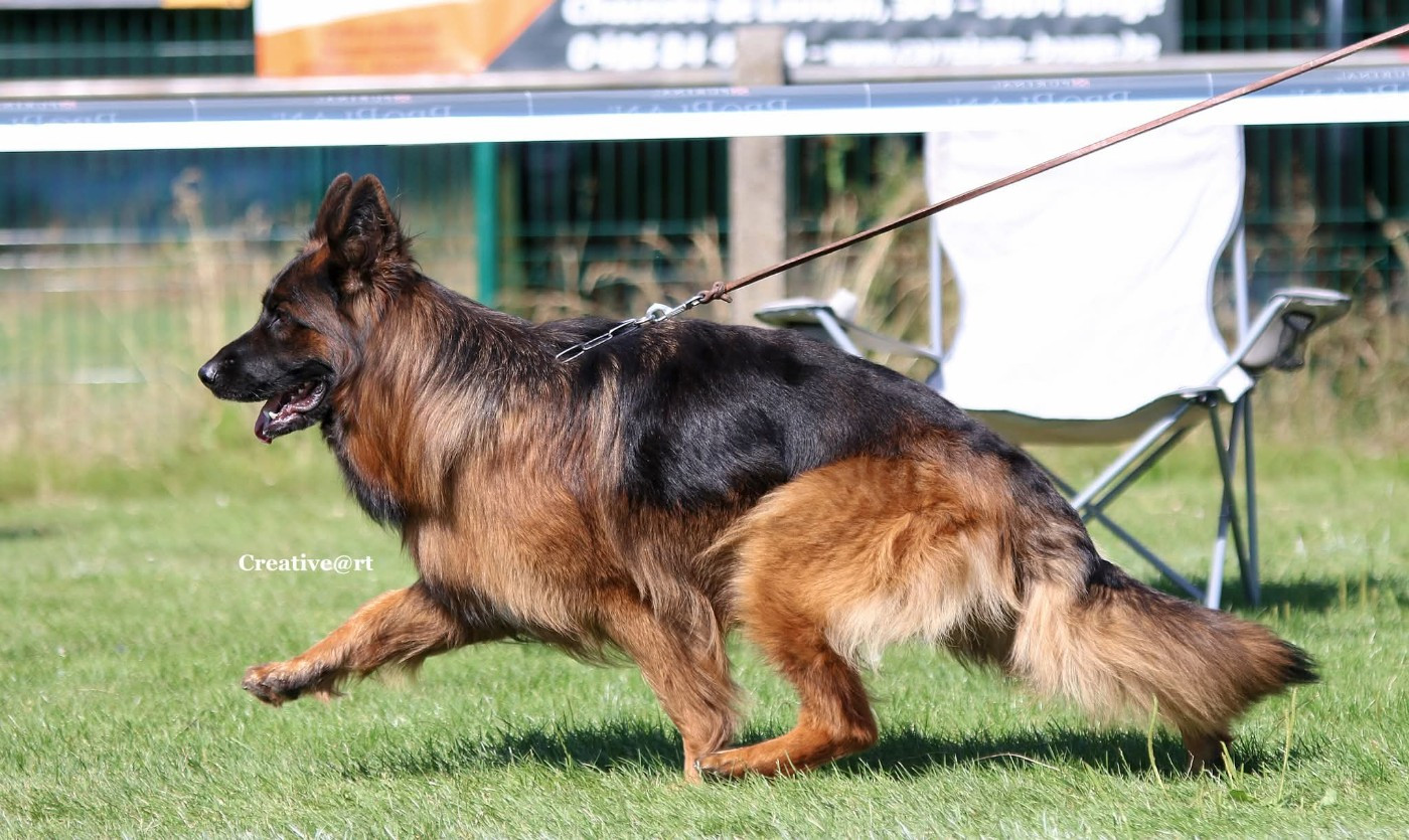 Publication : De L'Aisance Des Bois
