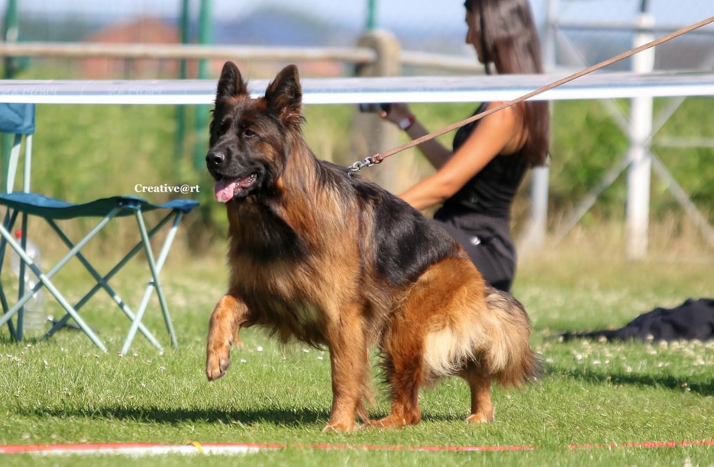 Publication : De L'Aisance Des Bois