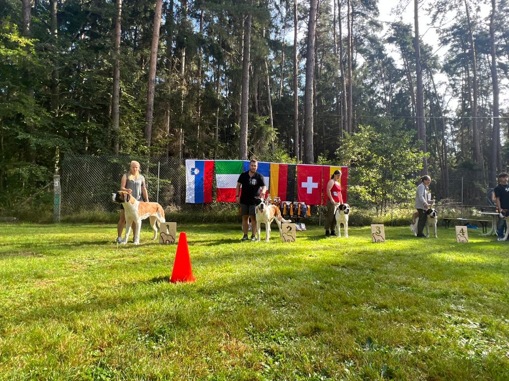 CH. Téa moa Vom Neuschwander - 2ème EXCELLENT R.CAC sur 5 femelles
