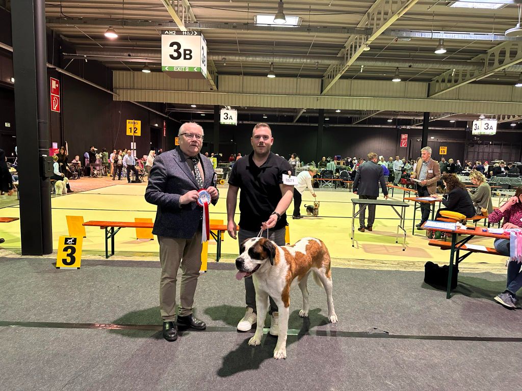 CH. Téa moa Vom Neuschwander - 1er EXCELLENT CACS + CACIB et Meilleur de race