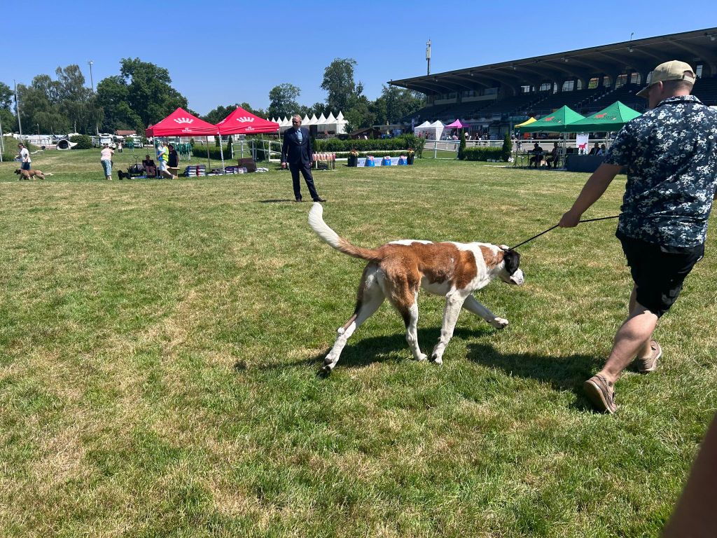 CH. Téa moa Vom Neuschwander - 1ère Très Prometteur - Meilleur Puppy