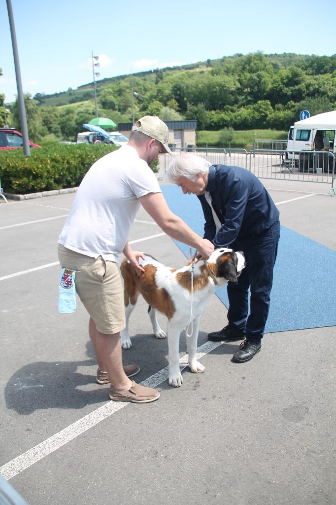 CH. Téa moa Vom Neuschwander - 1ère Très Prometteur - Meilleur Puppy Best in Show