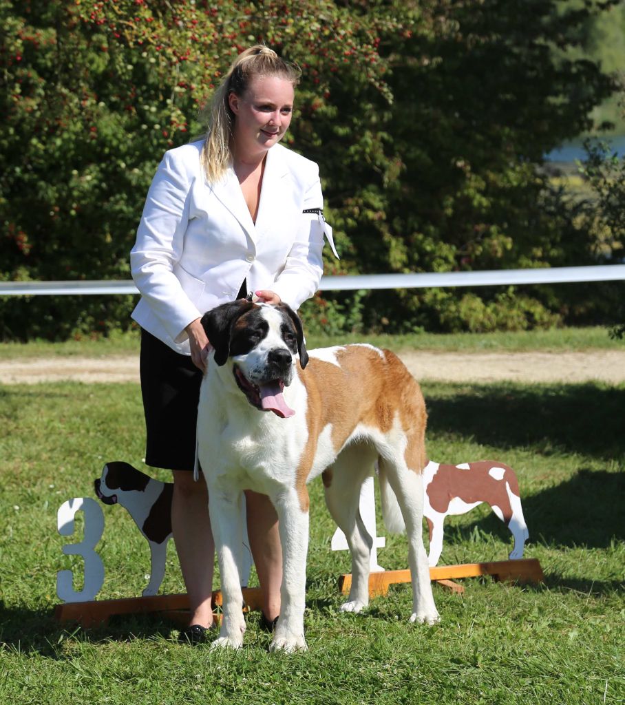 CH. Téa moa Vom Neuschwander - 3ème EXCELLENT sur 5 femelles