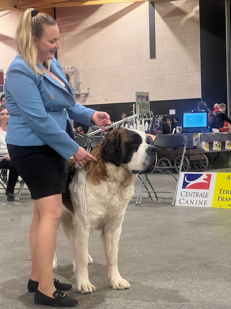 CH. Rayo de solea vom malinvern - 1ère EXCELLENT Meilleur champion + Meilleur de sexe opposé