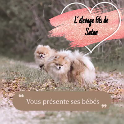 Fils De Satan