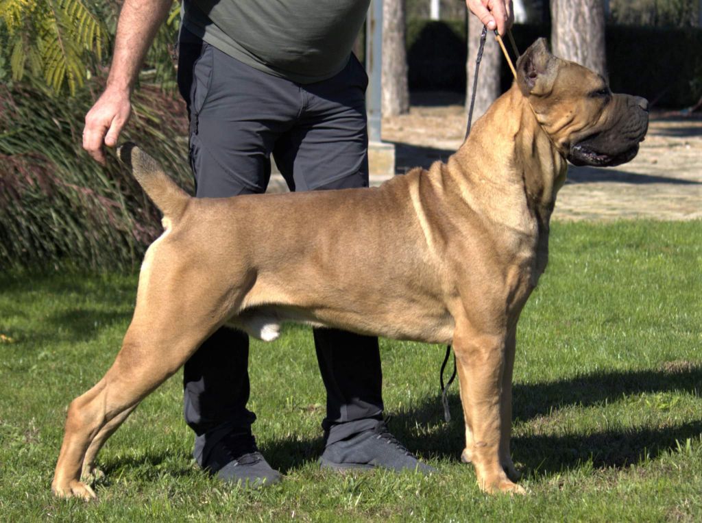 Publication : Du Désir Austral