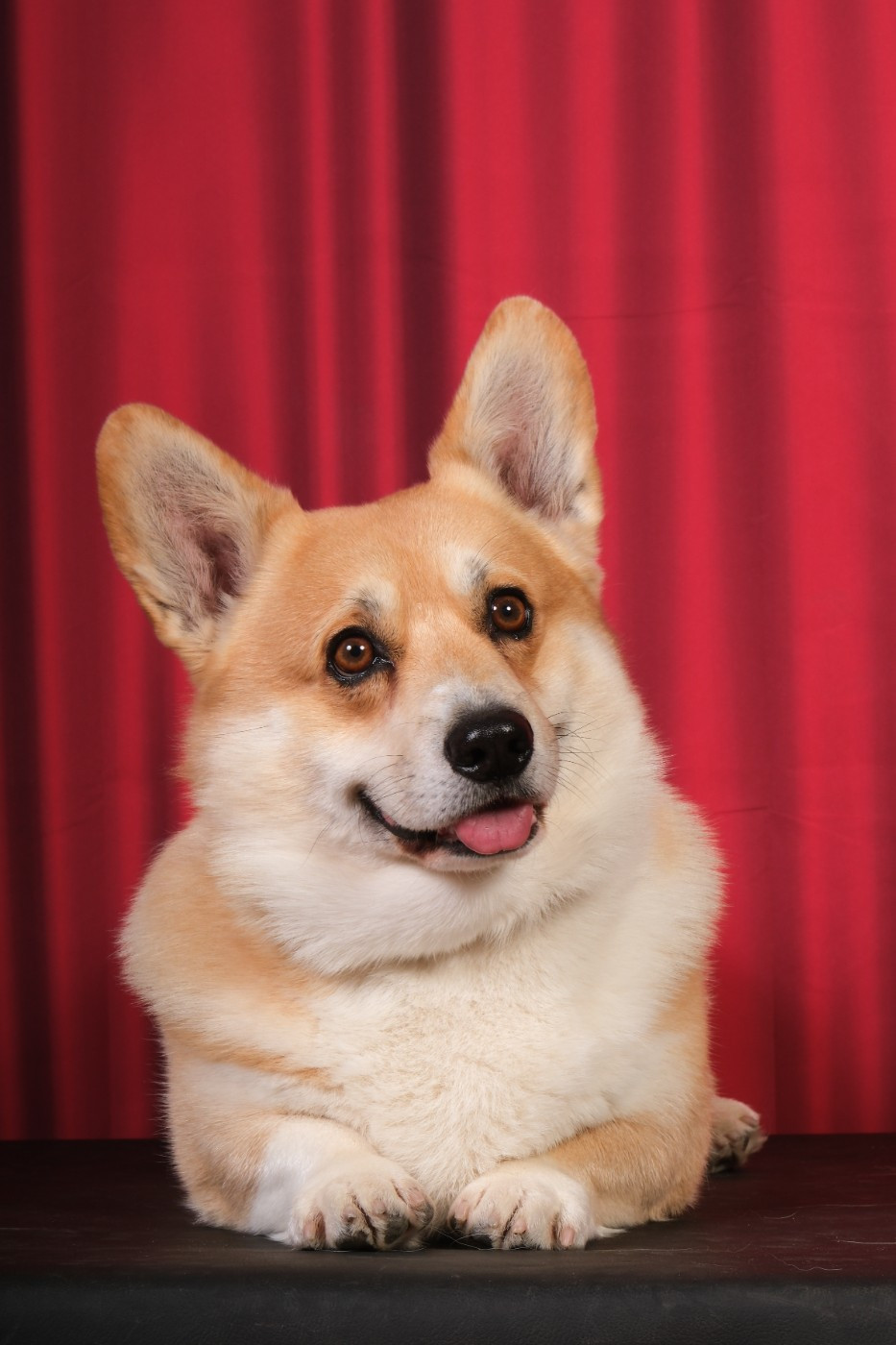 TR. Martel glory pride Du Soleil Du Sud