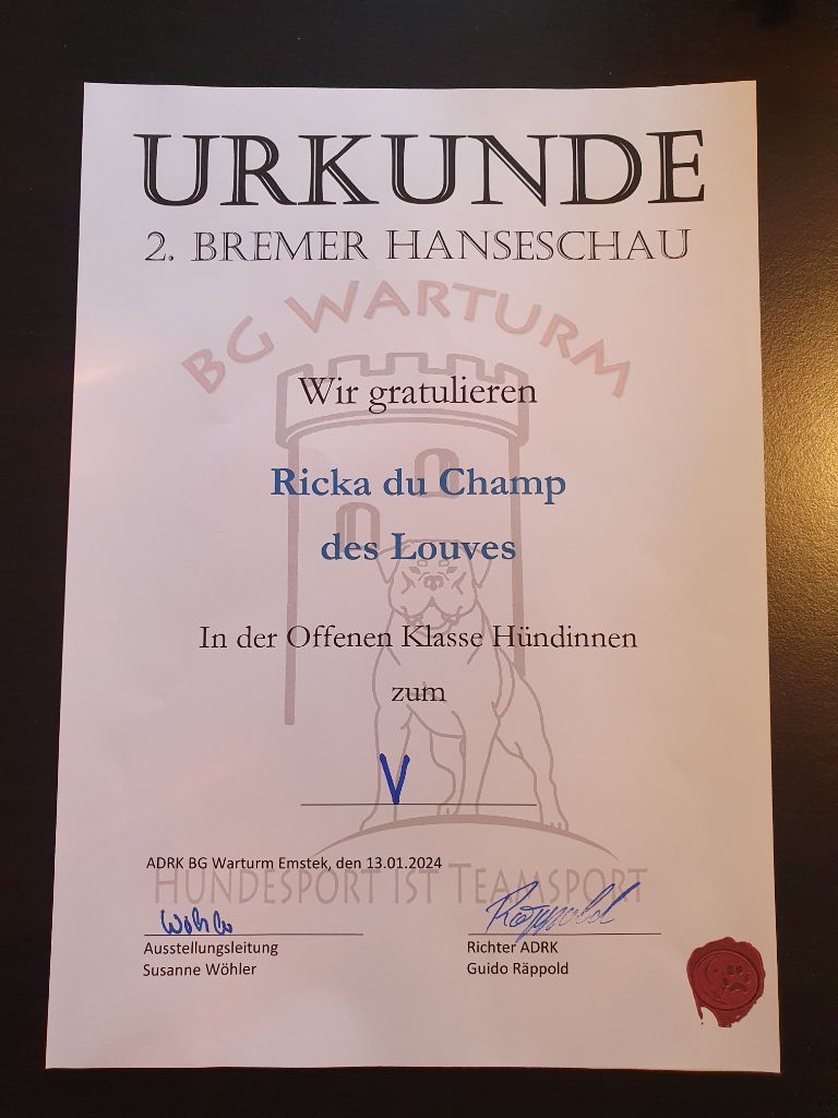 Ricka du champ des louves - V5 Open Class