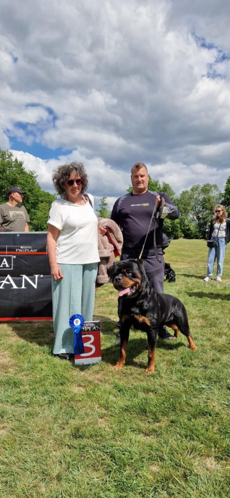 Santos du champ des louves - V3 Open Class