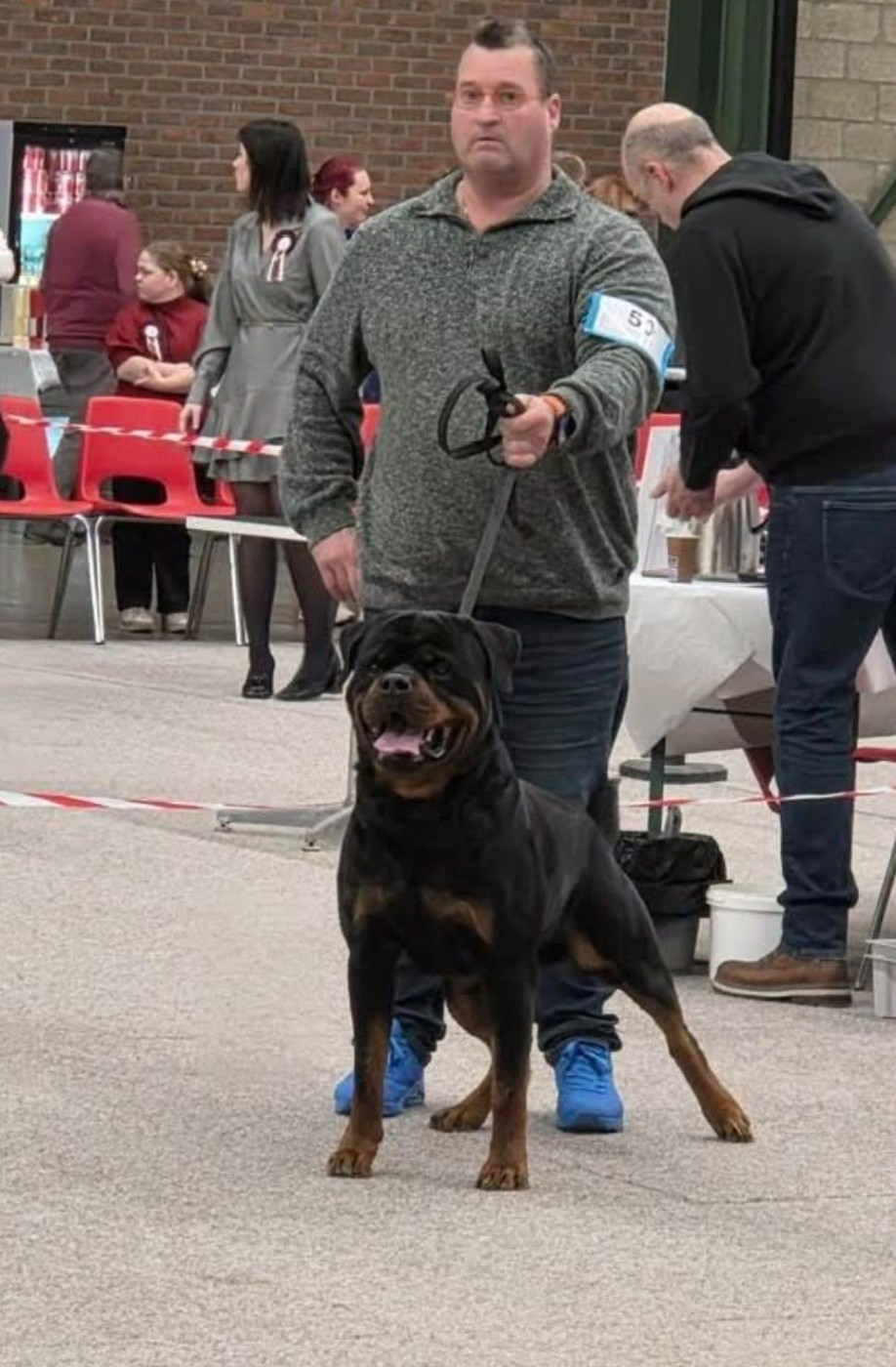 Santos du champ des louves - V2 Open Class