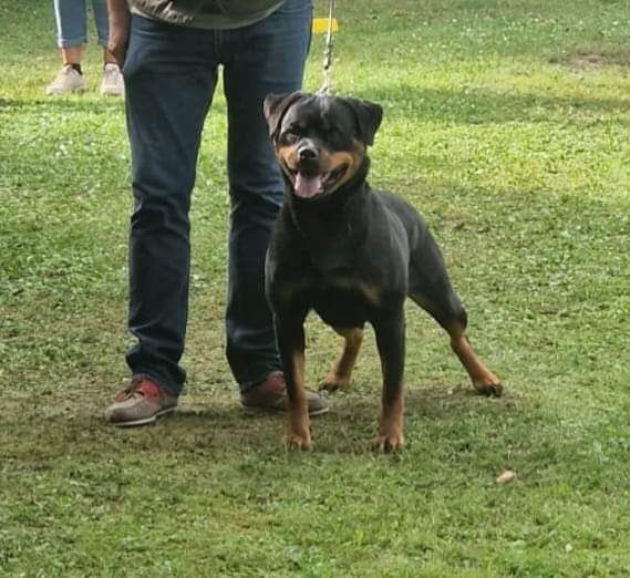 Ricka du champ des louves - V(5)