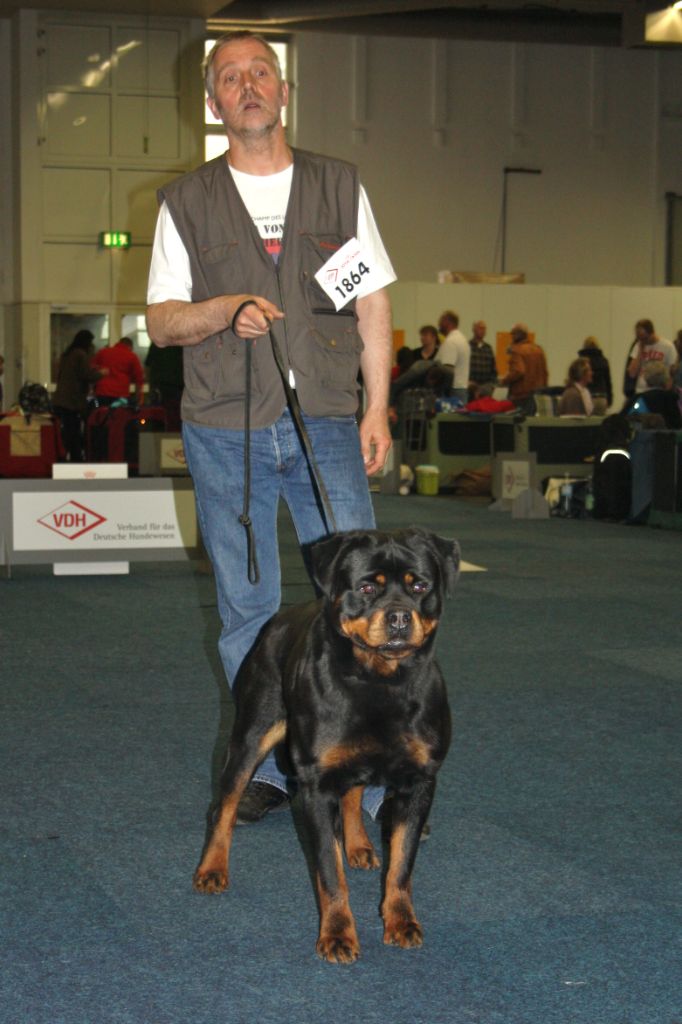 CH. Ebène du champ des louves - V2 Res.Anw.Dt.VDH.Ch Working Class