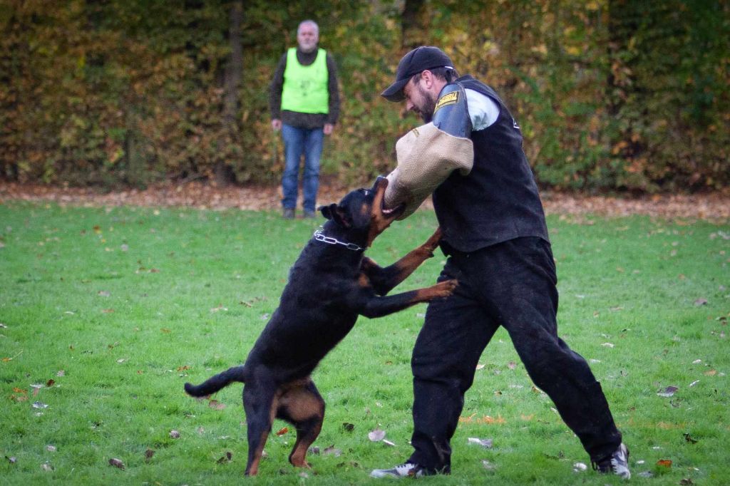 Ricka du champ des louves - Gëkort (Recommandée)