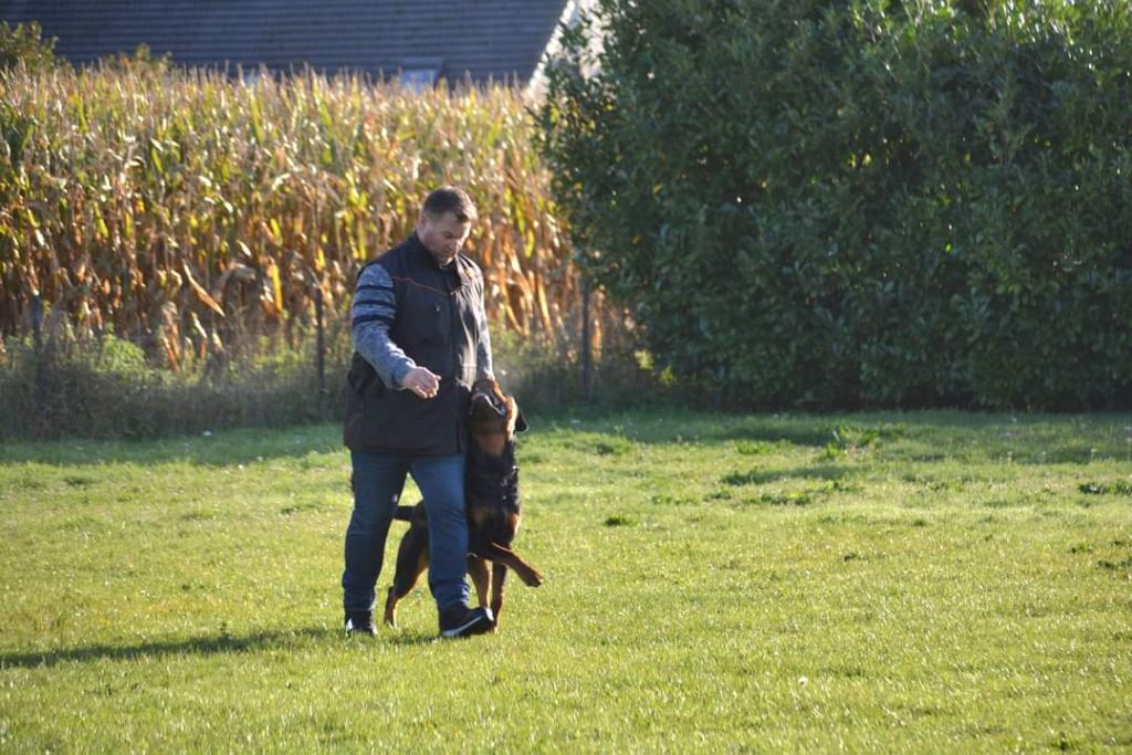 Santos du champ des louves - BH