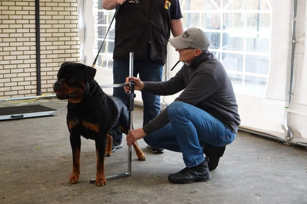 Santos du champ des louves - RST BRK