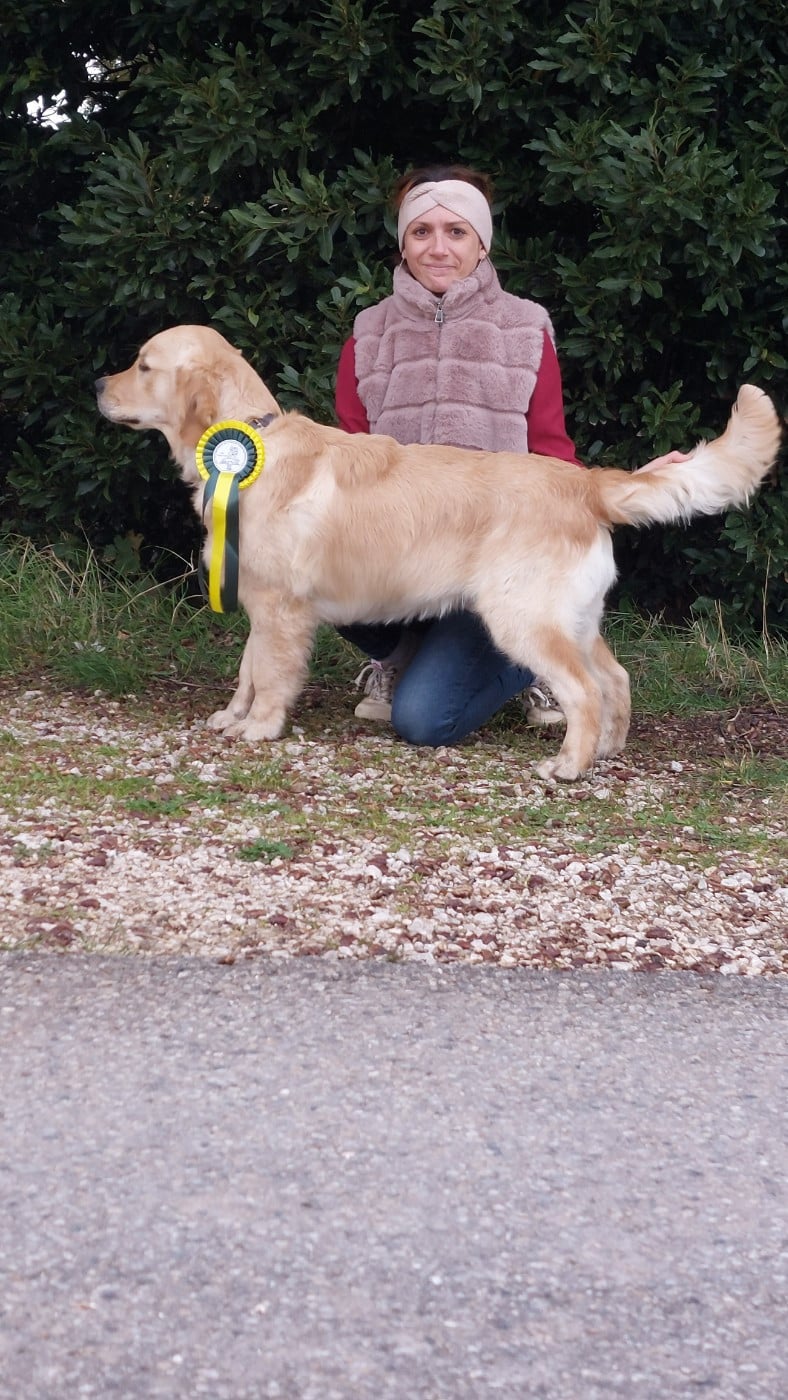 Publication : De L'Orégon De Romance Auteur : Moi