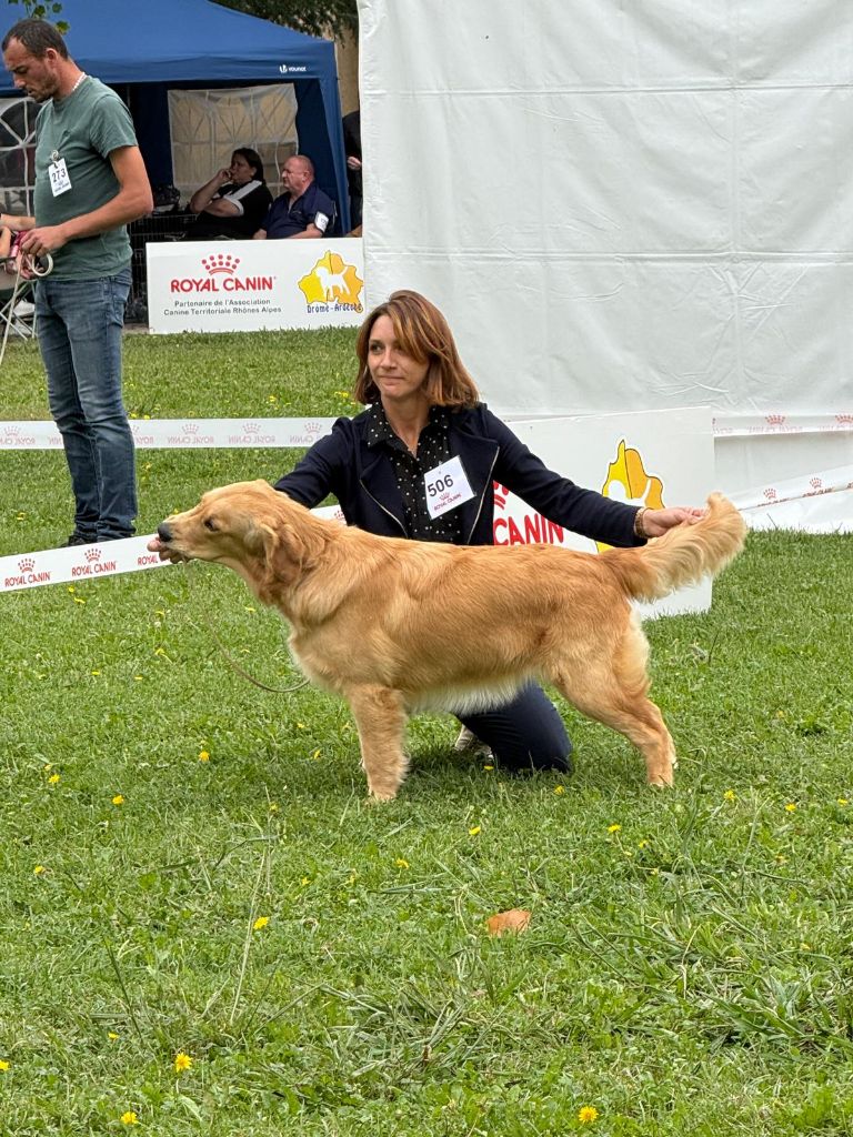 Arcane pink ranger De L'Orégon De Romance