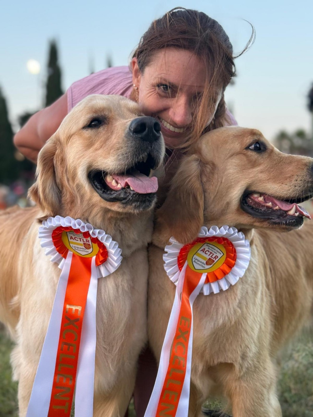 Alias brooklyn puppys goldens love - 1er excellent CACS-J