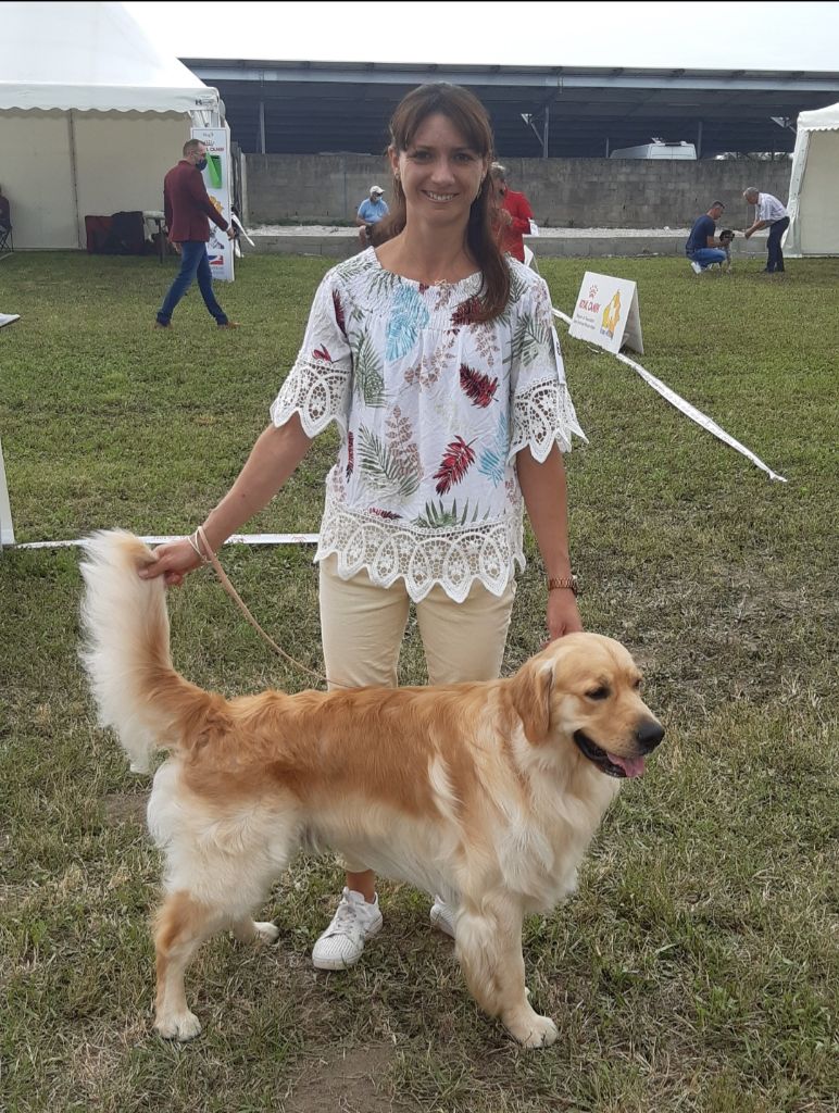 Ranger rocket des jardins d'or et d'ambre - Excellent