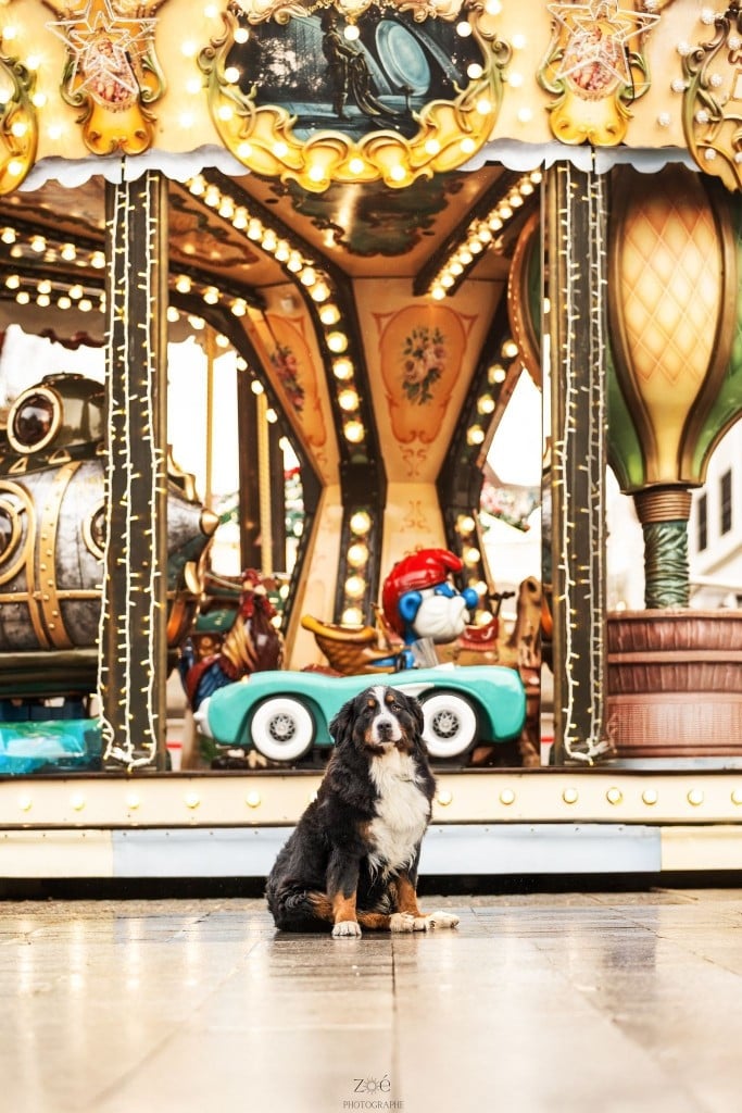 Publication : De La Terre Des Fées