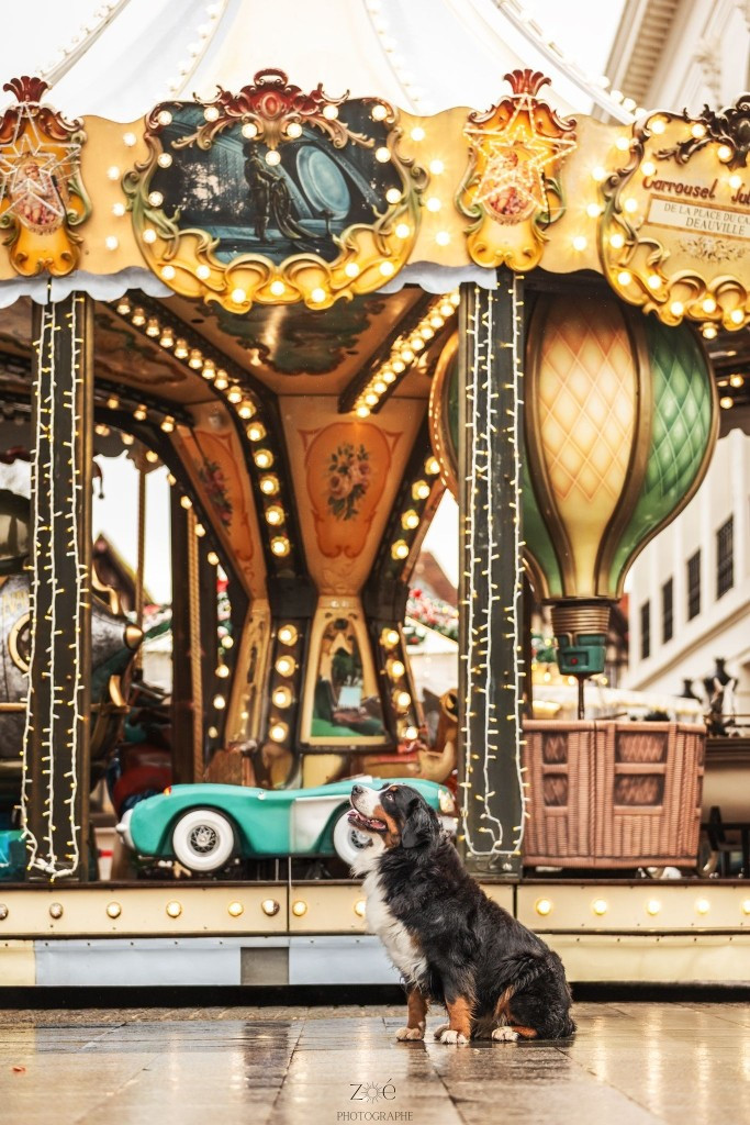 Publication : De La Terre Des Fées