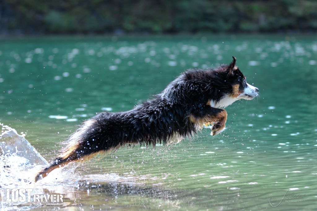 Publication : Time To Smile Auteur : Lost River - Julia Bettendorf