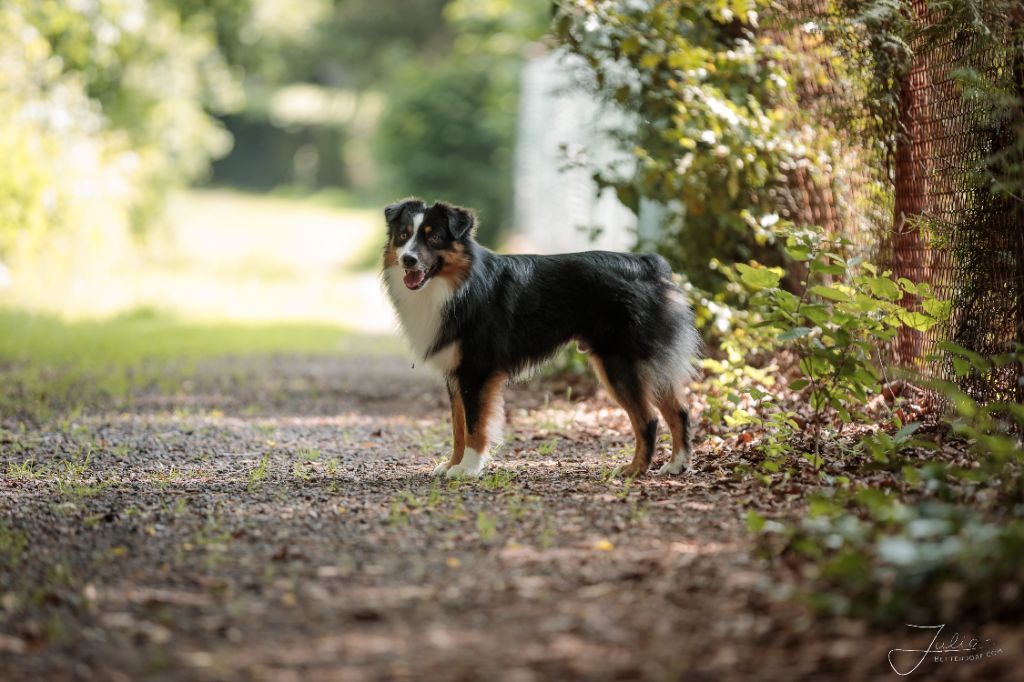 Publication : Time To Smile Auteur : Lost River - Julia Bettendorf