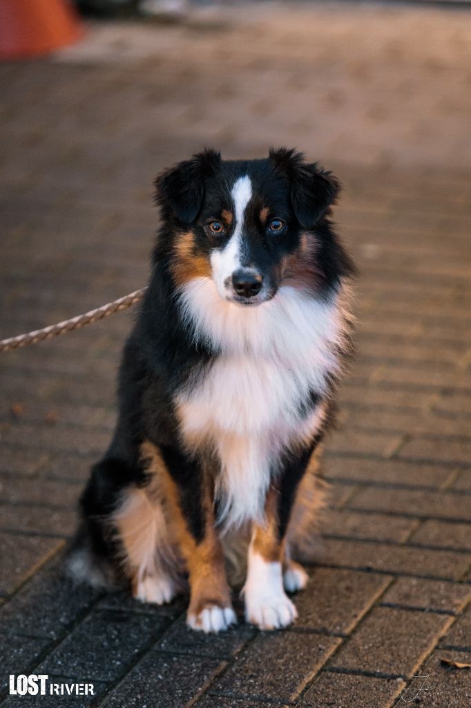 Publication : Time To Smile Auteur : Lost River - Julia Bettendorf