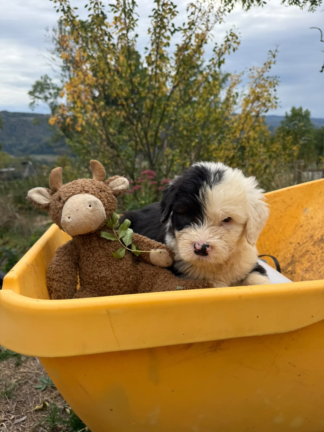 BILBO