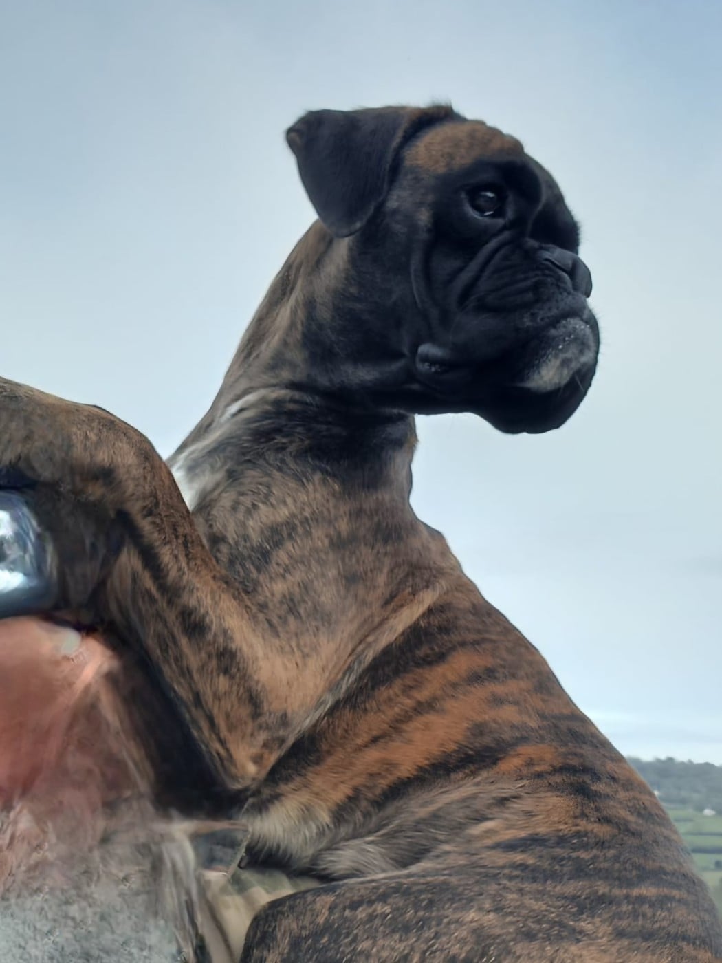 VESPER Du Domaine De Valny