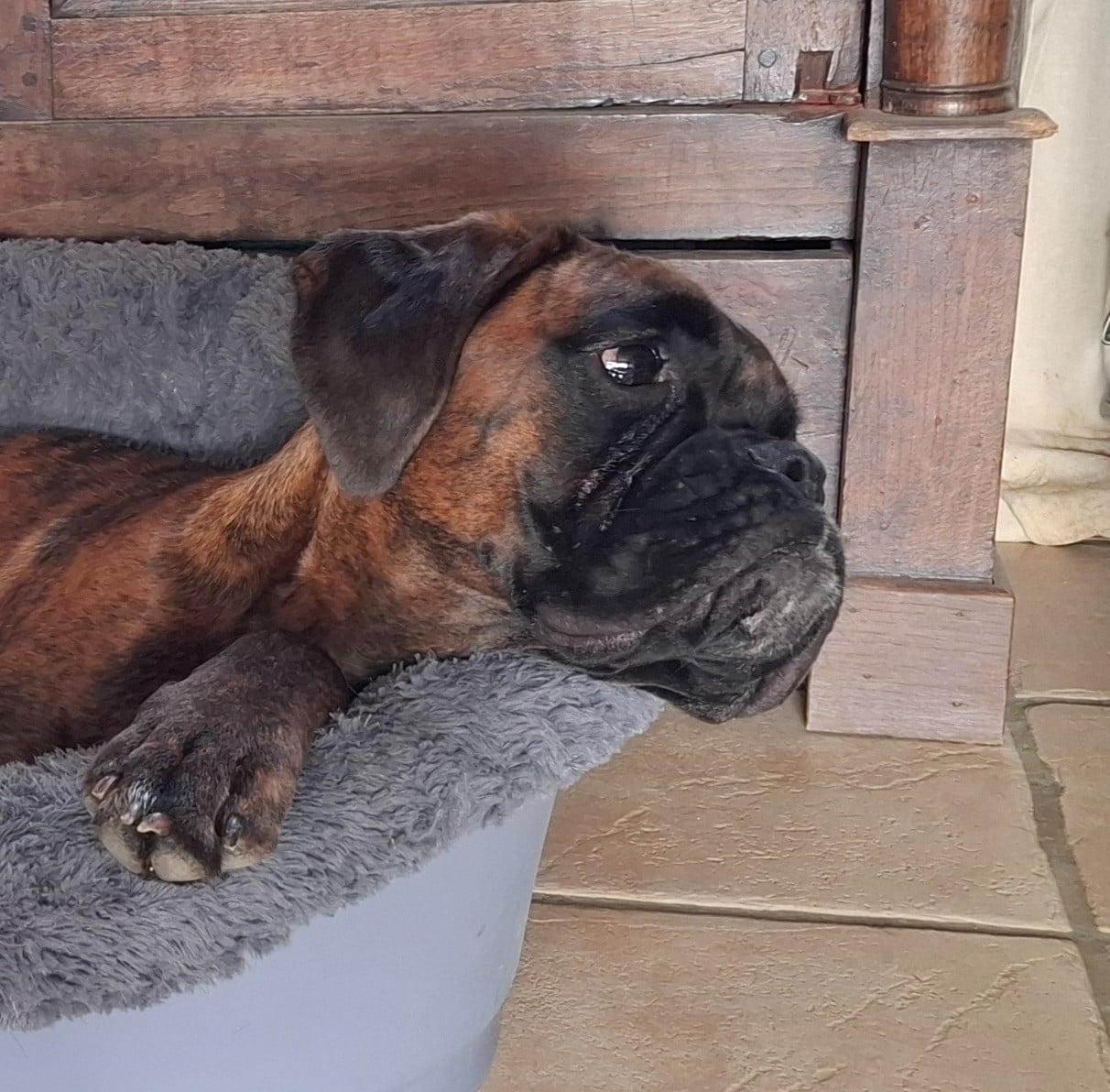 ANOUCK Du Domaine De Valny