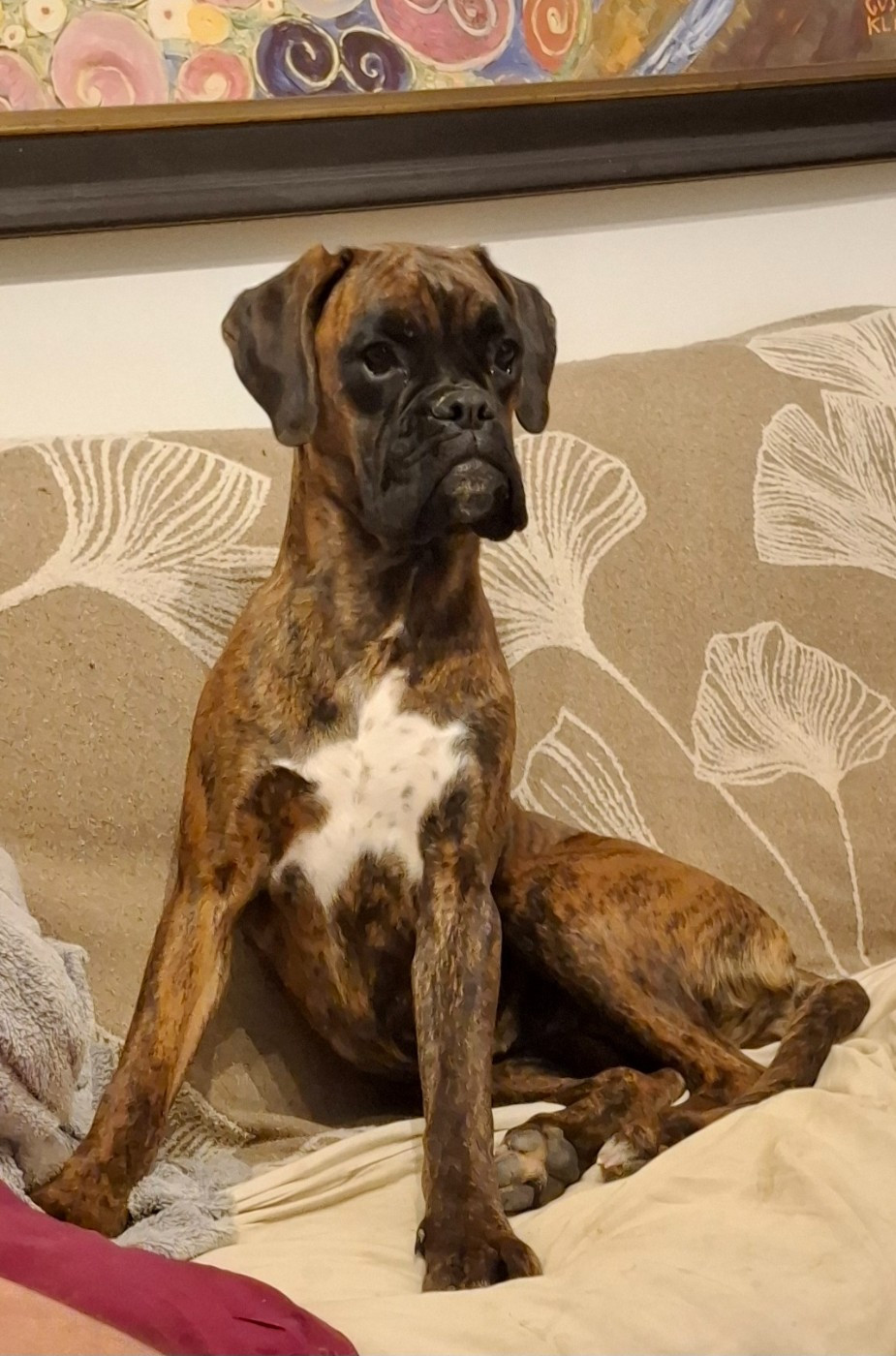 ANOUCK Du Domaine De Valny