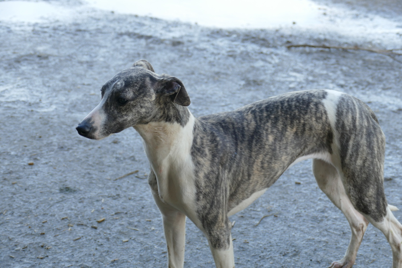 Action reaction Des Terres De Pag