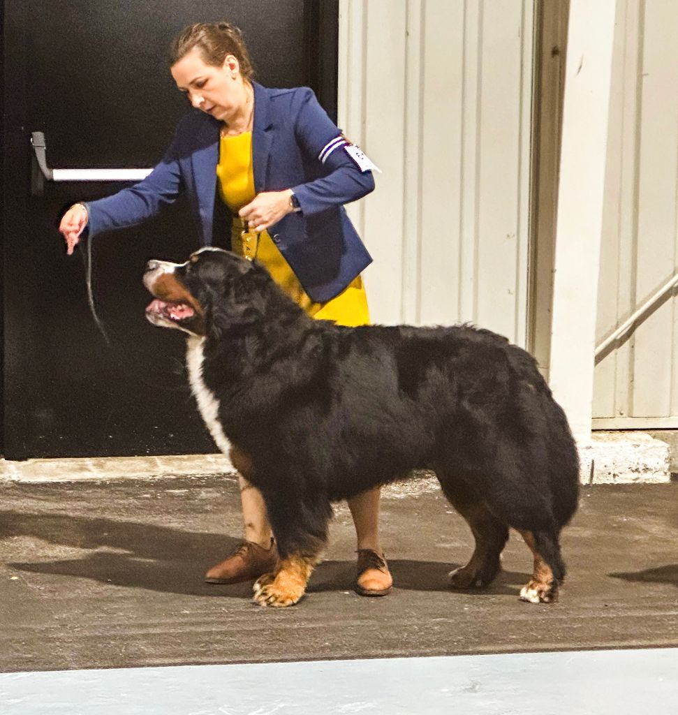 Soul mate du royaume des reves - 3ème EXCELLENT