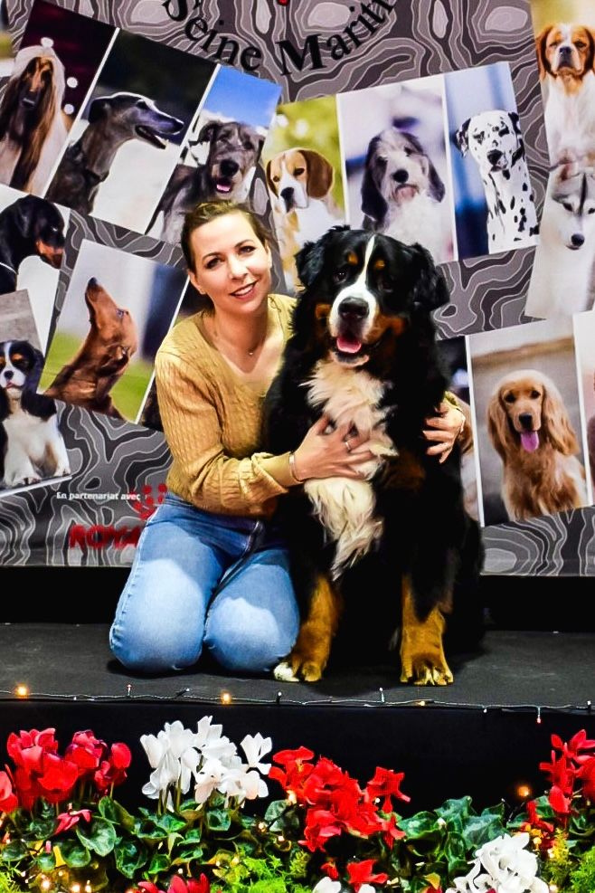 Soul mate du royaume des reves - 4ème TRES BON