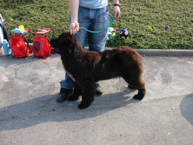 Publication : Du Domaine De Flambeau Auteur : proprietaire